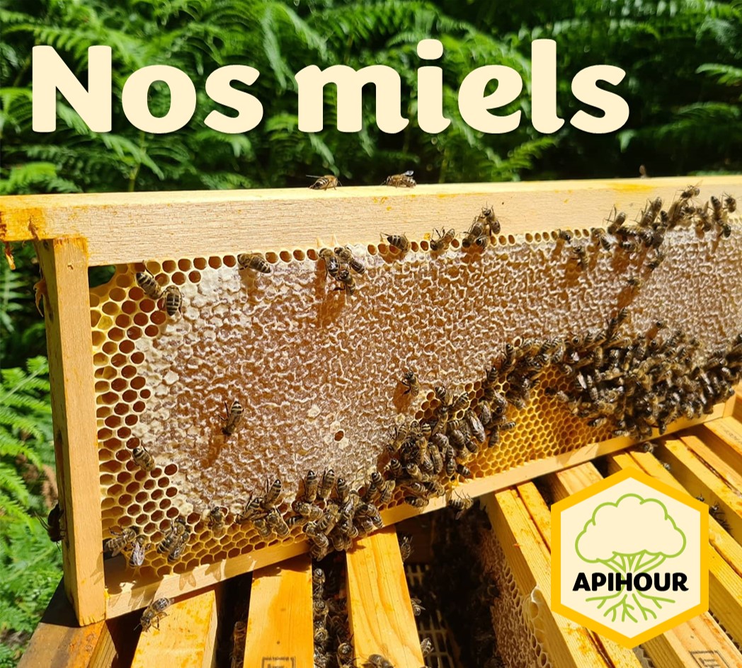 nos_miels