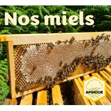 nos_miels